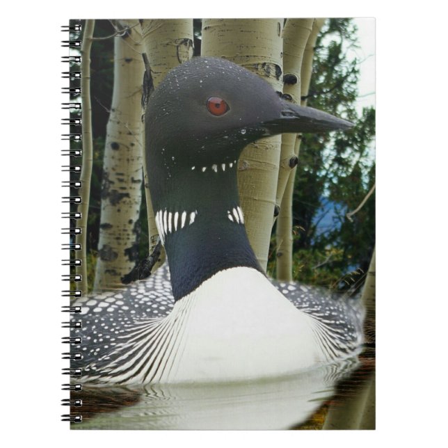 Loon Wilderness Anteckningsbok (Framsidan)