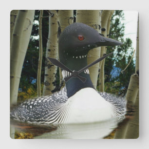 Loon Wilderness Fyrkantig Klocka