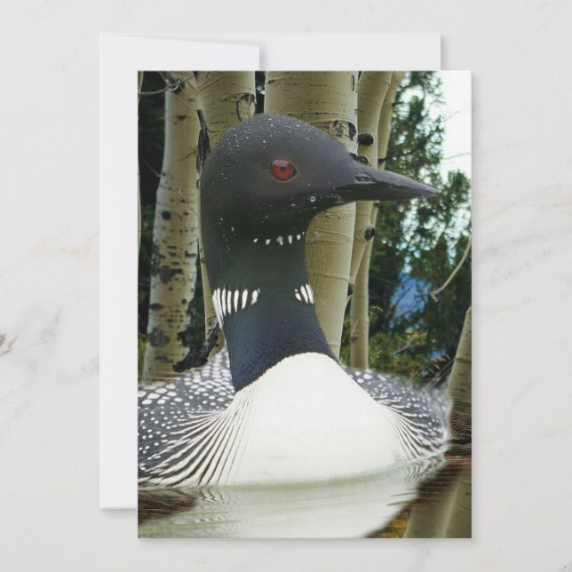 Loon Wilderness Inbjudningar (Framsida)
