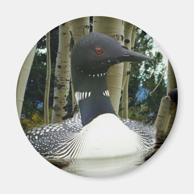 Loon Wilderness Magnet (Framsidan)