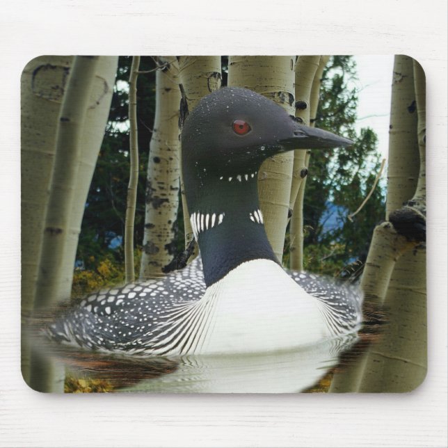 Loon Wilderness Musmatta (Framsidan)