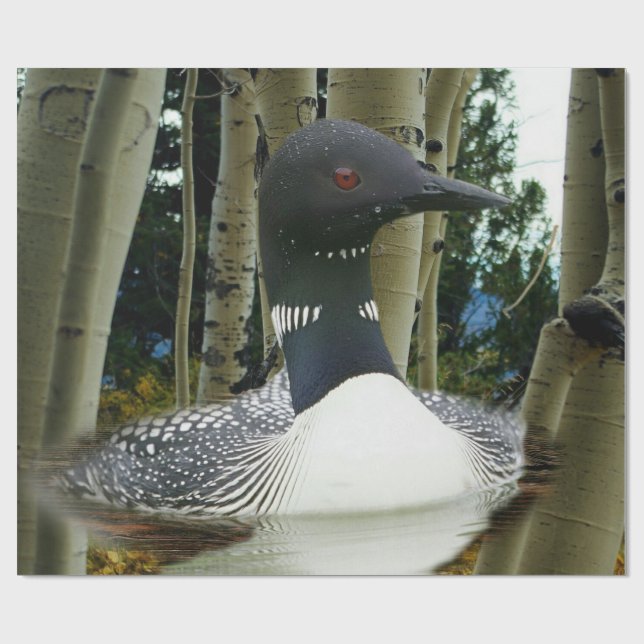 Loon Wilderness Presentpapper (Platt)