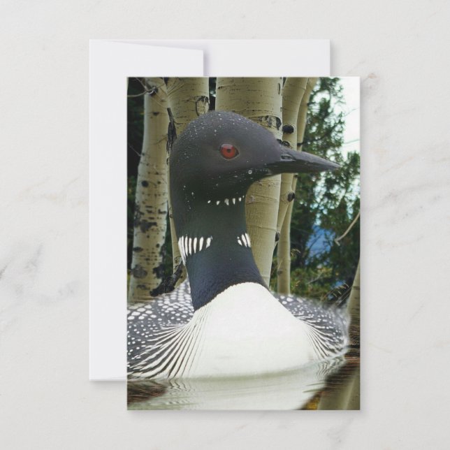 Loon Wilderness Spara Datumet (Framsida)