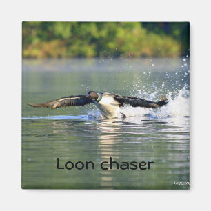 Looneftersläckaremagnet Magnet