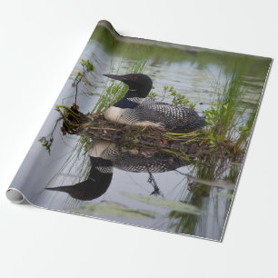 Loonen bygga bo på slå in papper presentpapper