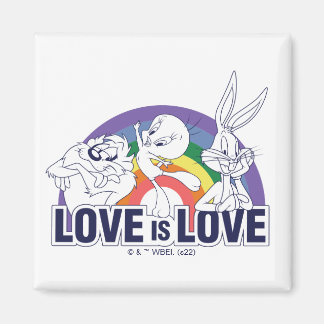 LOONEY TUNES™ - Kärlek är kärlek Magnet