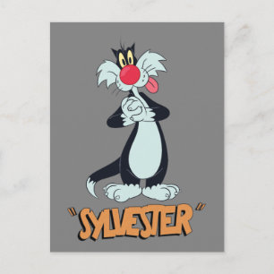 LOONEY TUNES™ Retro Laughs SYLVESTER™ Vykort