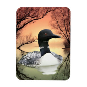 Loonreflektioner Magnet