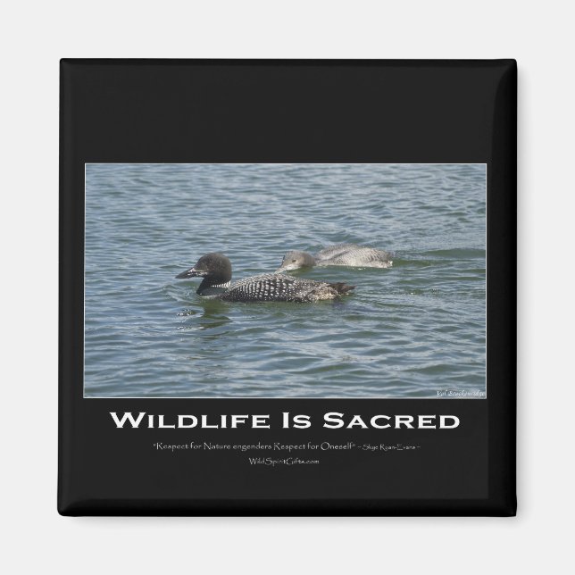 Loons Inspirational Magnet (Framsidan)