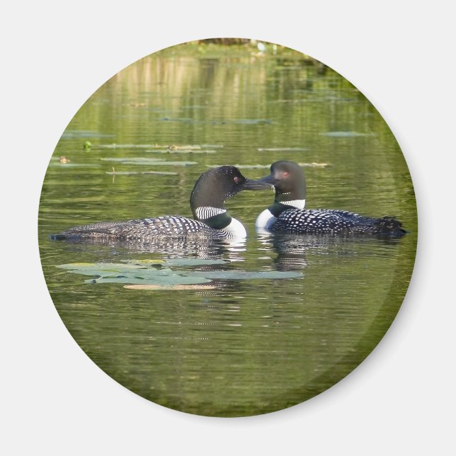 Loons Magnet (Framsidan)