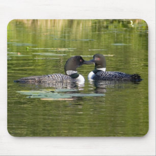 Loons Musmatta