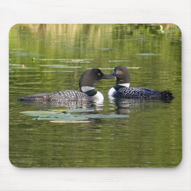 Loons Musmatta (Framsidan)
