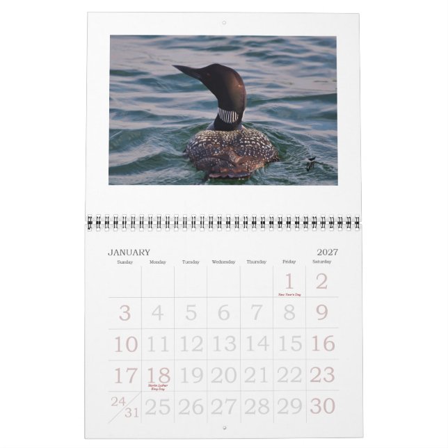 Loons på Rideauen Kalender (Jan 2027)