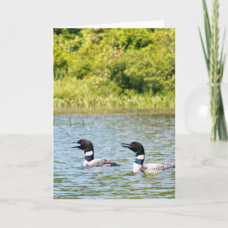 Loons som kallar andra kort