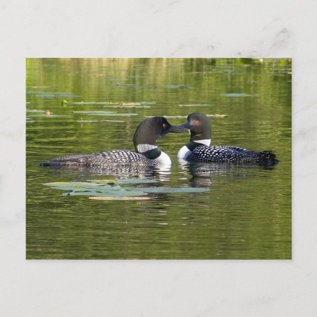 Loons Vykort (Framsida)