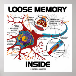 Loose Memory Inside (Neuron/Synapse) Poster