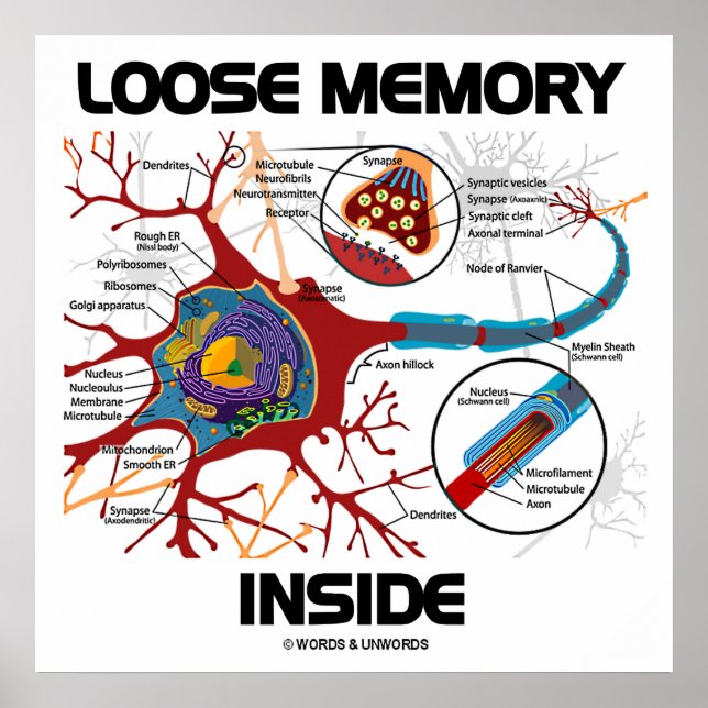 Loose Memory Inside (Neuron/Synapse) Poster (Framsidan)
