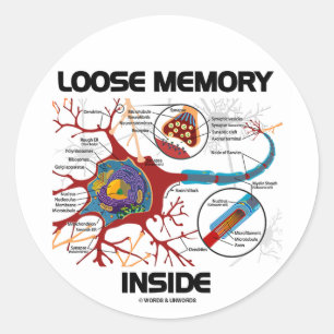 Loose Memory Inside (Neuron/Synapse) Runt Klistermärke