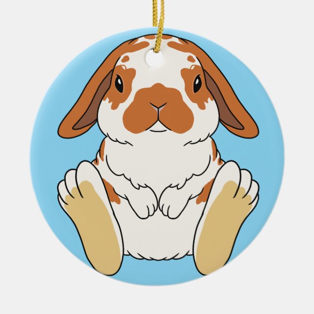 Lop Bunny Broken Orange Julgransprydnad Keramik (Framsidan)