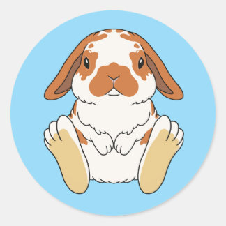 Lop Bunny Sticker Broken Orange Runt Klistermärke