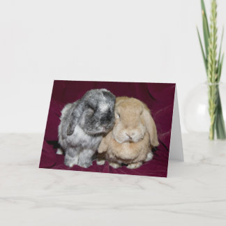 Lop Eared Rabbit Pair Kort