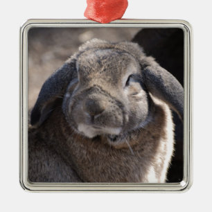 Lop gå i ax kanin julgransprydnad metall