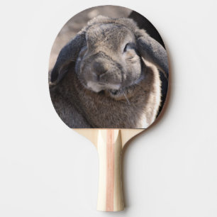Lop gå i ax kanin pingisracket