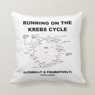 Löpa på Krebs-cykeln (Vetenskaplig humor) Kudde
