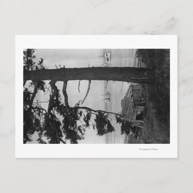 Lopez Island, WA - Fiskebåtar i bukten Vykort (Framsida)