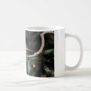 Lophophanes cris kaffemugg