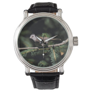 Lophophanes cristatus armbandsur