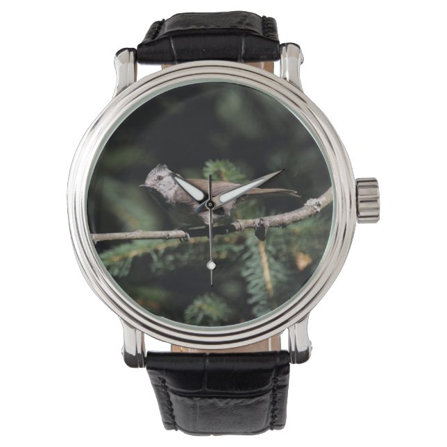 Lophophanes cristatus armbandsur (Framsida)