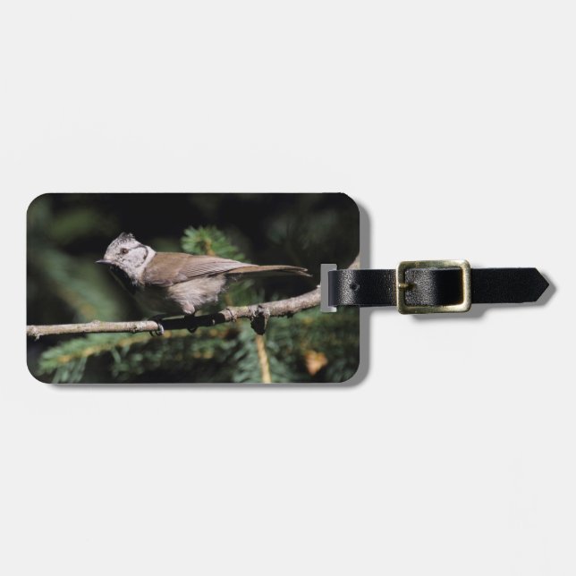 Lophophanes cristatus bagagebricka (Horisontell Framsida)