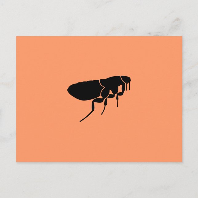 Loppa Vykort (Framsida)