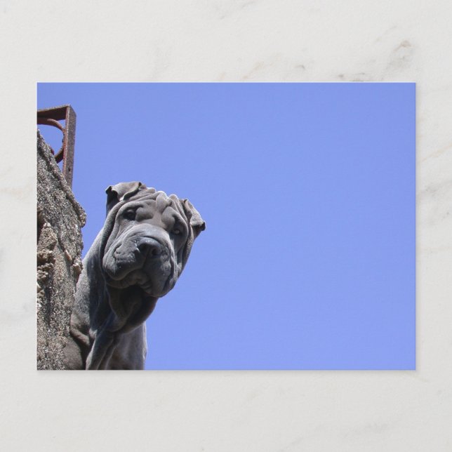 Loppmarknad Vykort (Framsida)