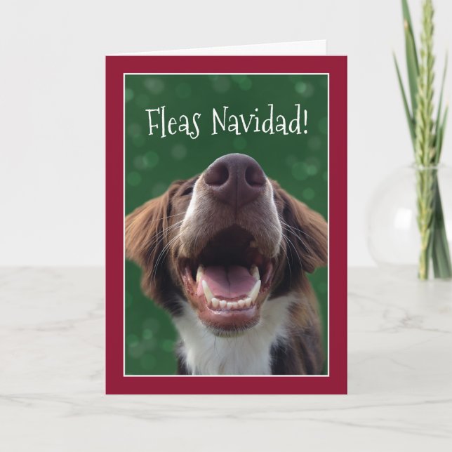 Loppor Navidad! Humoristisk hund på jul Helgkort (Framsida)