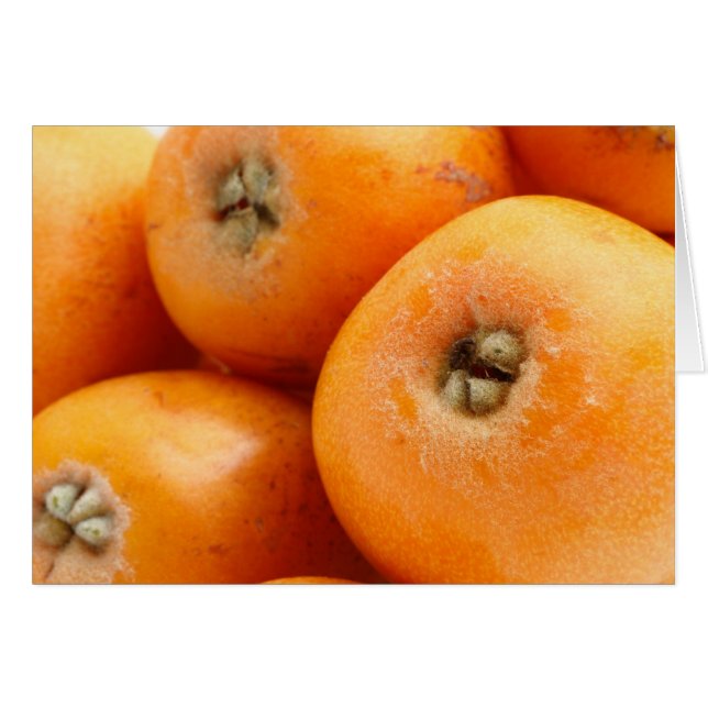 Loquats Hälsningskort (Framsidan Horizontal)