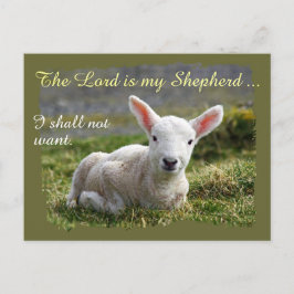 Lord är min Shepherd Little White Lamb Blank Vykort