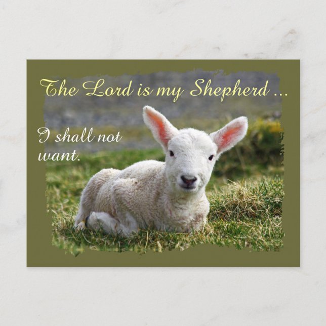 Lord är min Shepherd Psalm 23 Complete Version Vykort (Framsida)