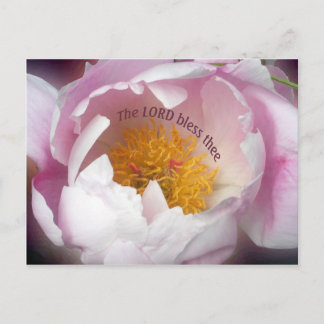 Lord Bless Theee Vykort