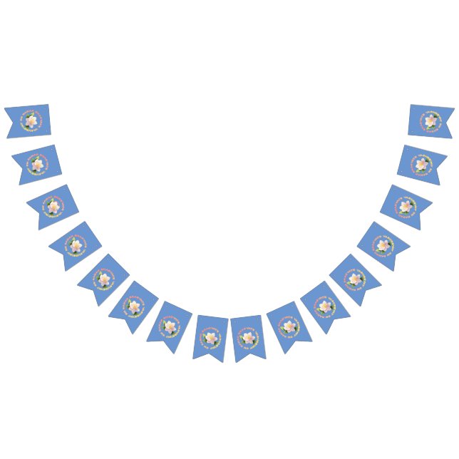 Lord Krishna Vimplar (Alla)