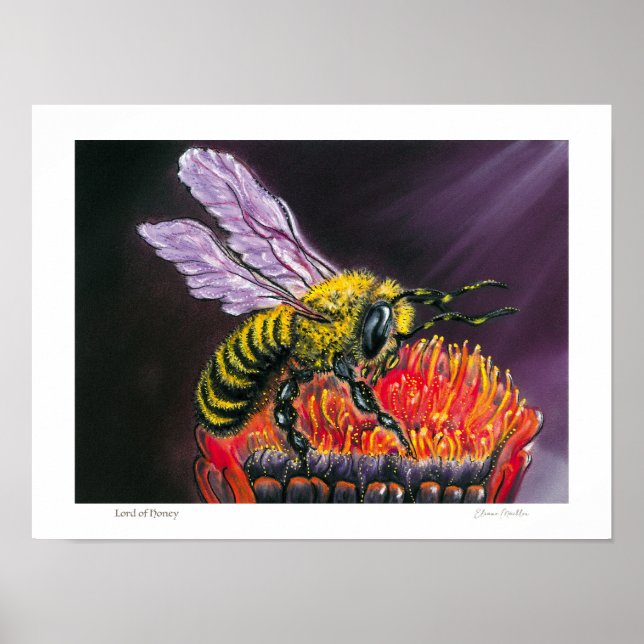 Lord of Honey - Poster (Framsidan)