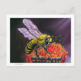 Lord of Honey Vykort