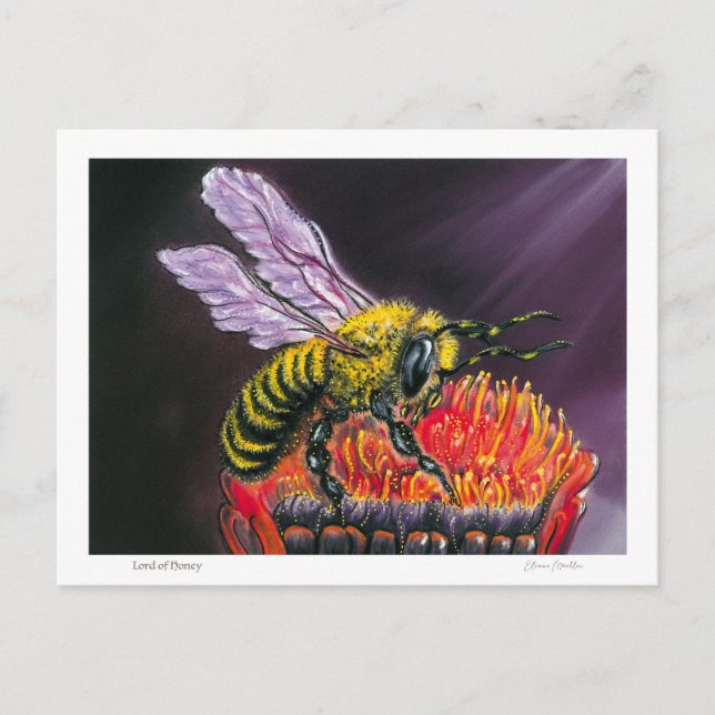 Lord of Honey Vykort (Framsida)