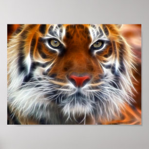 Lord of the Indian Jungles, Royalet Bengal Tiger Poster