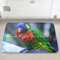 Lorikeet Bird Live Life in Färg Red Blue Grönt