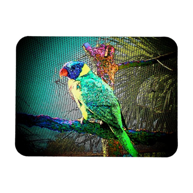 Lorikeet Bird Magnet Design 2 (Horisontell)