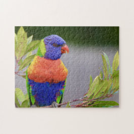 Lorikeet Bird Perched Parrot Animal Feathers Pussel