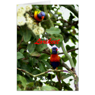 Lorikeet Hälsningskort