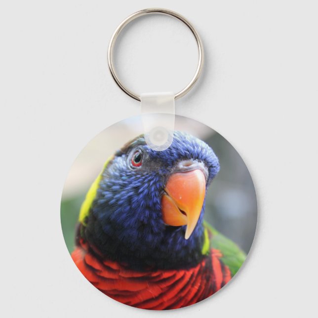 Lorikeet Keychain Nyckelring (Framsida)
